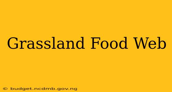Grassland Food Web
