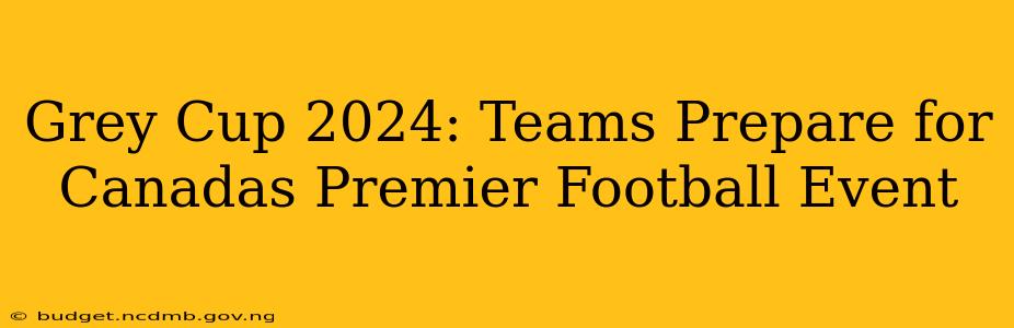Grey Cup 2024: Teams Prepare for Canadas Premier Football Event
