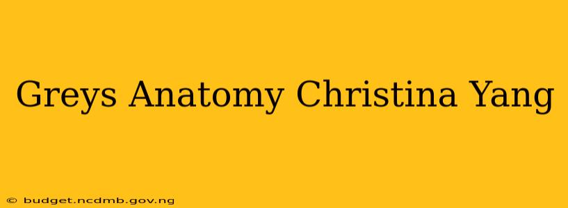 Greys Anatomy Christina Yang