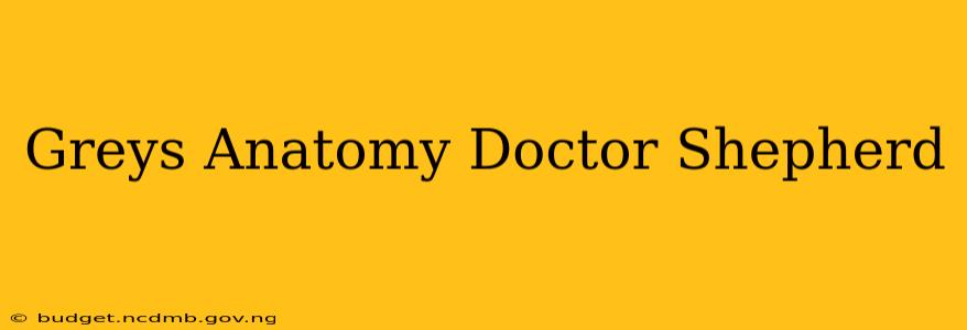Greys Anatomy Doctor Shepherd