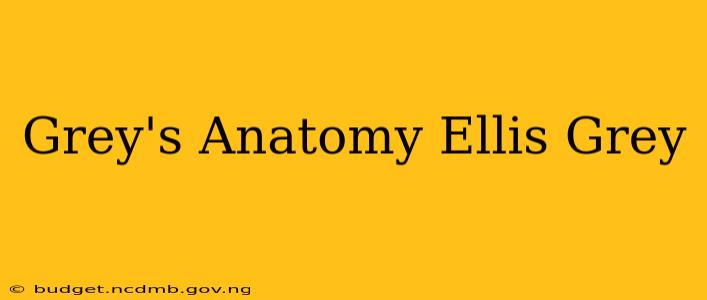 Grey's Anatomy Ellis Grey
