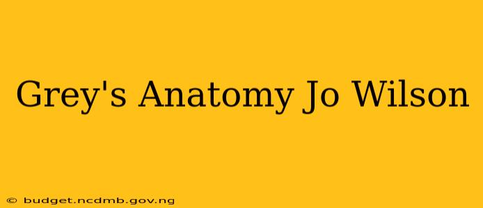 Grey's Anatomy Jo Wilson