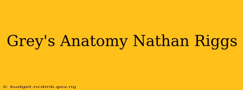 Grey's Anatomy Nathan Riggs