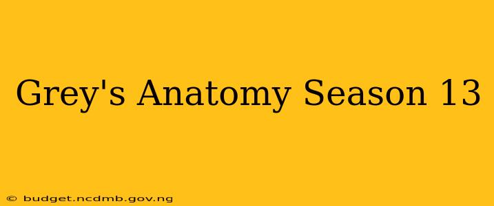 Grey's Anatomy Season 13