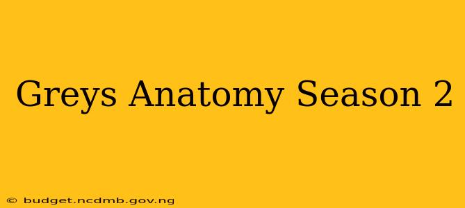 Greys Anatomy Season 2