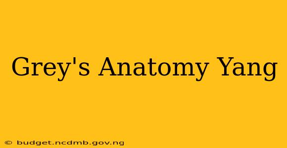 Grey's Anatomy Yang