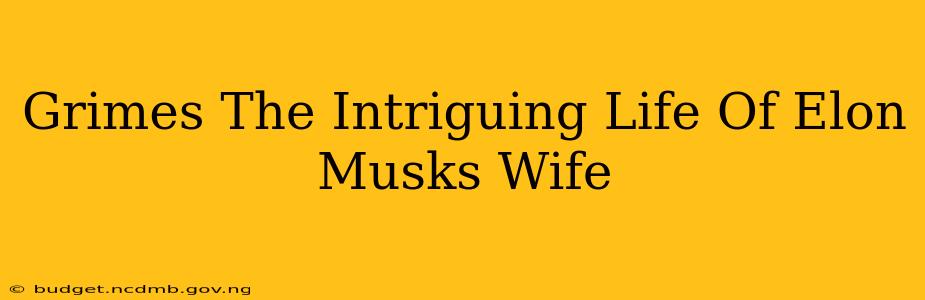 Grimes The Intriguing Life Of Elon Musks Wife