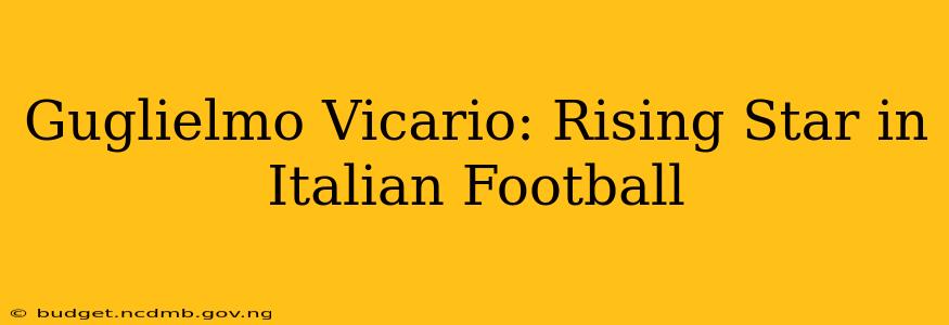 Guglielmo Vicario: Rising Star in Italian Football