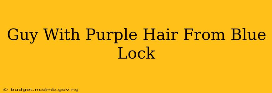 Guy With Purple Hair From Blue Lock