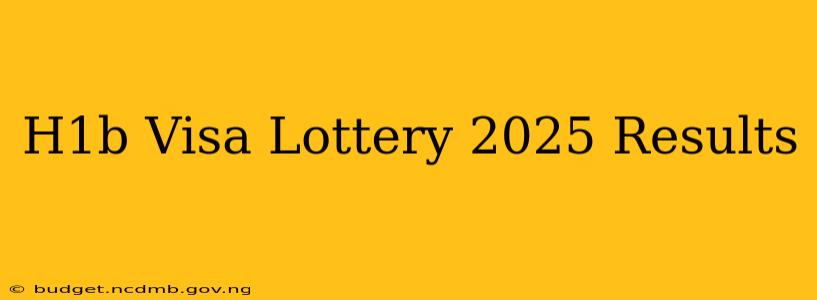 H1b Visa Lottery 2025 Results