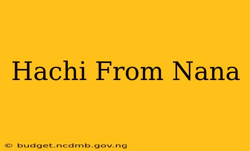 Hachi From Nana