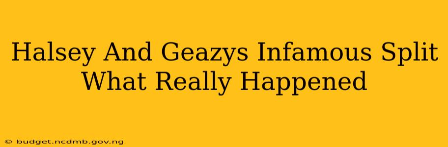 Halsey And Geazys Infamous Split What Really Happened