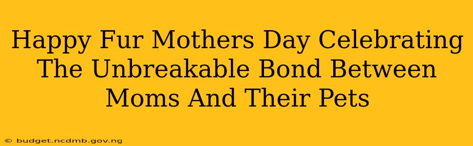 Happy Fur Mothers Day Celebrating The Unbreakable Bond Between Moms And Their Pets