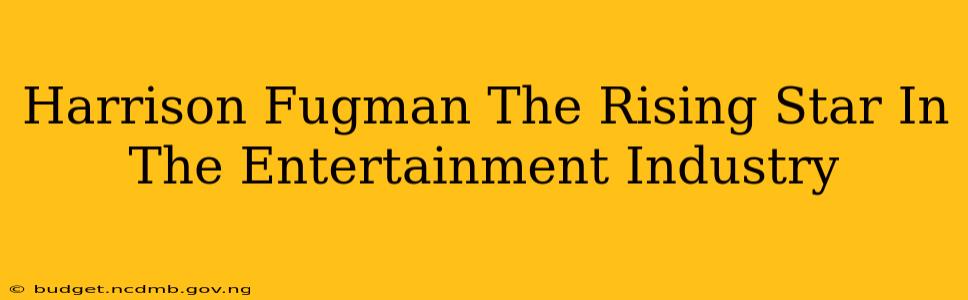 Harrison Fugman The Rising Star In The Entertainment Industry
