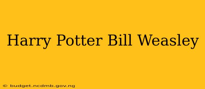 Harry Potter Bill Weasley