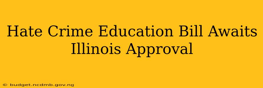 Hate Crime Education Bill Awaits Illinois Approval