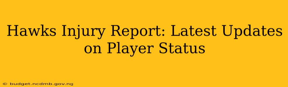 Hawks Injury Report: Latest Updates on Player Status