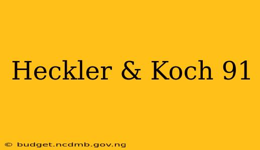 Heckler & Koch 91