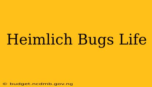 Heimlich Bugs Life