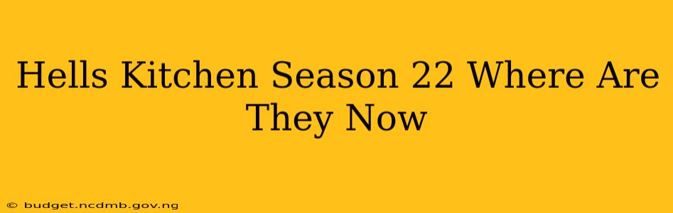 Hells Kitchen Season 22 Where Are They Now