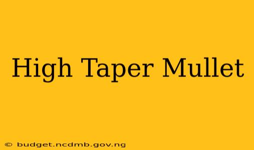 High Taper Mullet
