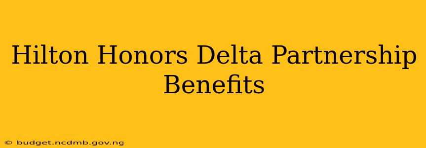 Hilton Honors Delta Partnership Benefits