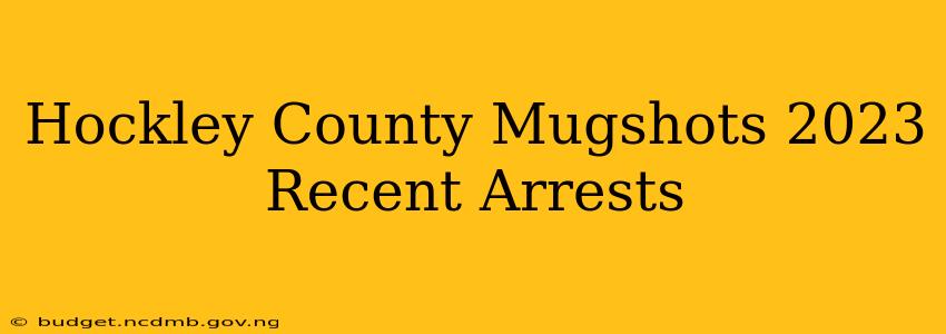Hockley County Mugshots 2023 Recent Arrests