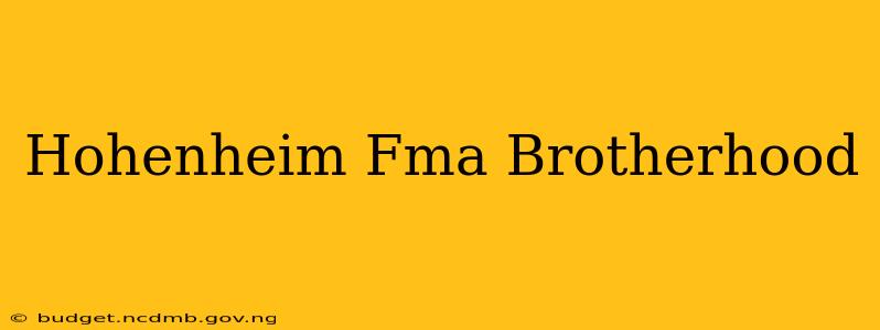 Hohenheim Fma Brotherhood