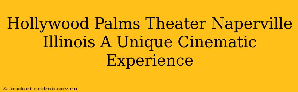 Hollywood Palms Theater Naperville Illinois A Unique Cinematic Experience