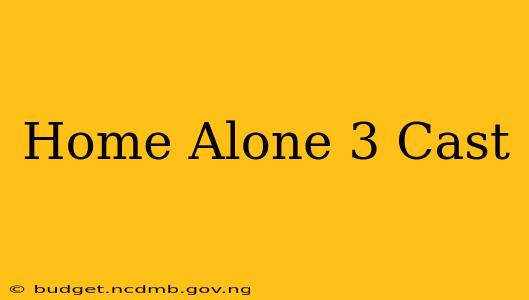 Home Alone 3 Cast