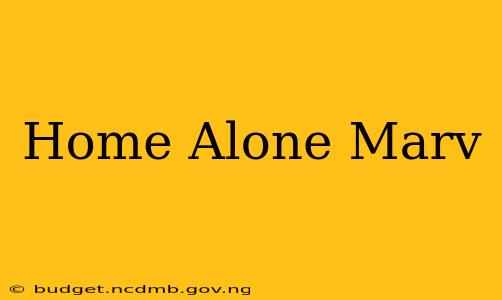 Home Alone Marv