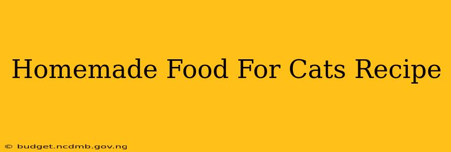 Homemade Food For Cats Recipe