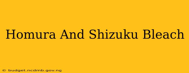 Homura And Shizuku Bleach