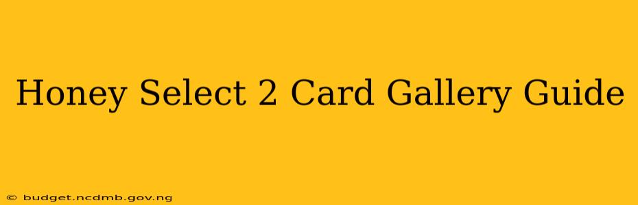 Honey Select 2 Card Gallery Guide