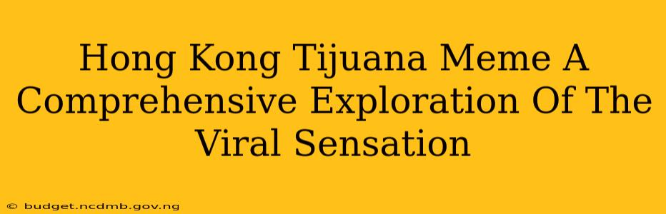 Hong Kong Tijuana Meme A Comprehensive Exploration Of The Viral Sensation