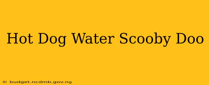 Hot Dog Water Scooby Doo