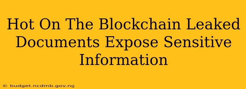 Hot On The Blockchain Leaked Documents Expose Sensitive Information