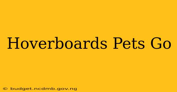 Hoverboards Pets Go