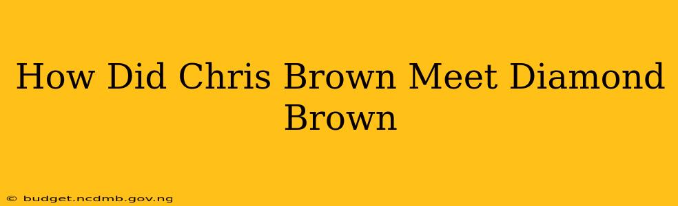 How Did Chris Brown Meet Diamond Brown