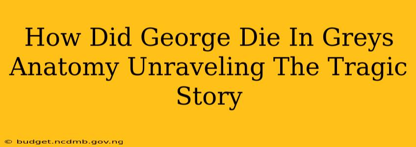 How Did George Die In Greys Anatomy Unraveling The Tragic Story