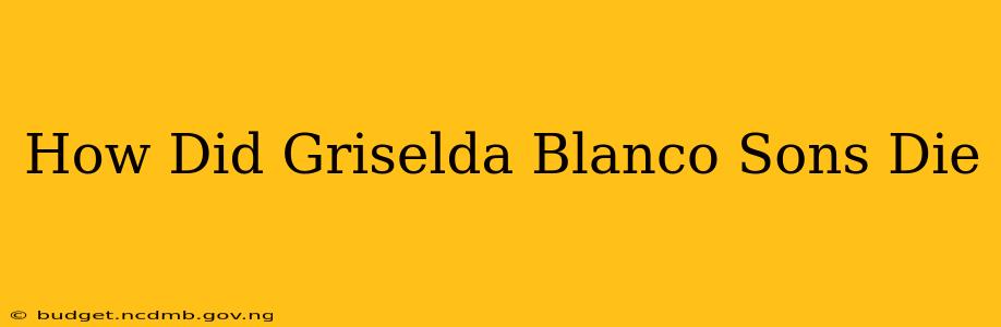How Did Griselda Blanco Sons Die