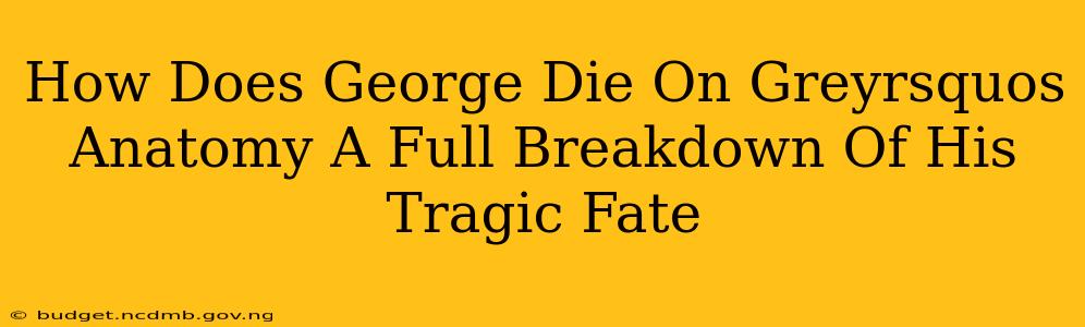 How Does George Die On Greyrsquos Anatomy A Full Breakdown Of His Tragic Fate