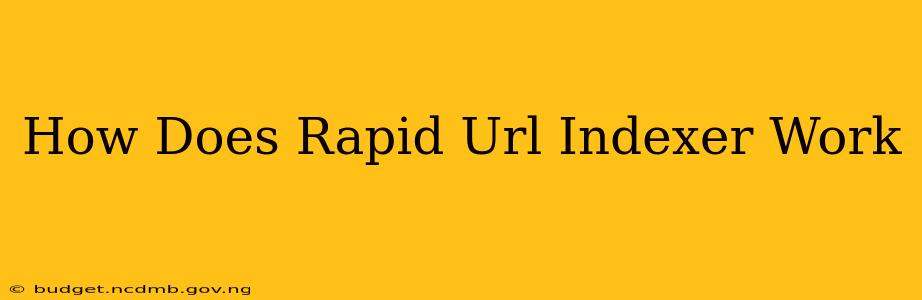 How Does Rapid Url Indexer Work