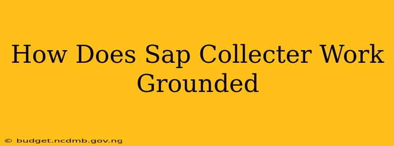 How Does Sap Collecter Work Grounded