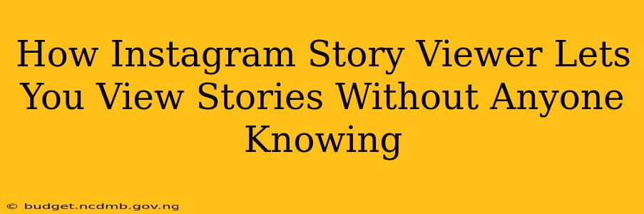 How Instagram Story Viewer Lets You View Stories Without Anyone Knowing