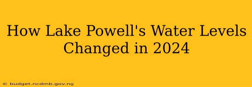 How Lake Powell's Water Levels Changed in 2024