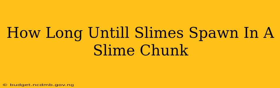 How Long Untill Slimes Spawn In A Slime Chunk