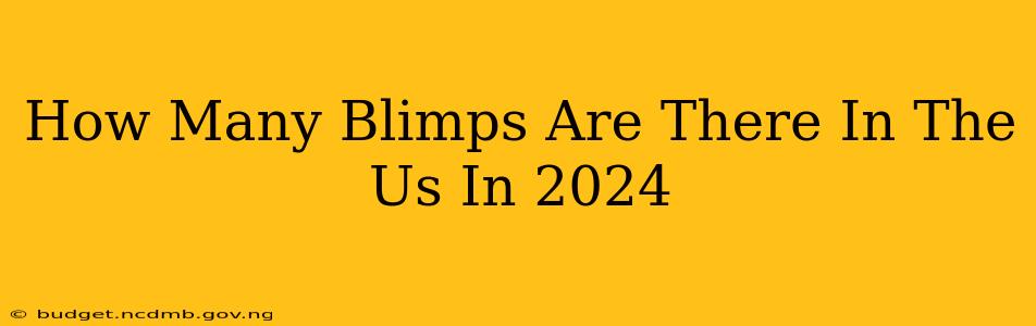 How Many Blimps Are There In The Us In 2024