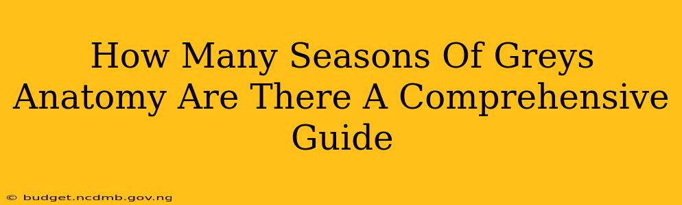 How Many Seasons Of Greys Anatomy Are There A Comprehensive Guide