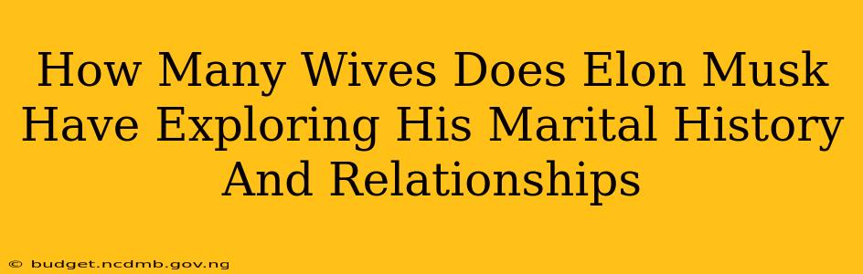How Many Wives Does Elon Musk Have Exploring His Marital History And Relationships